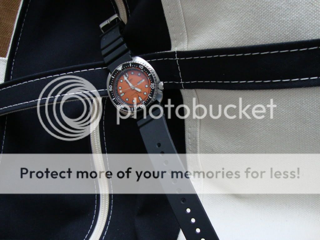 FS Seiko 63097040 (Vintage Cushion Case Diver) WatchUSeek Watch Forums